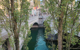 Ljubljana's Triple Bridge over the Ljubljanica River, framed by trees.