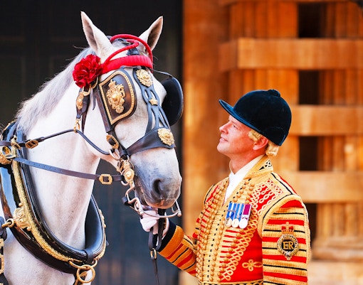 A guard and a royal horse