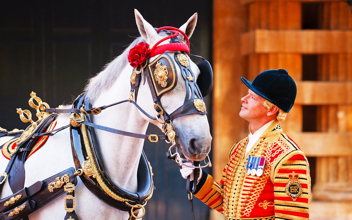 tickets voor buckingham palace, met toegang tot de staatskamers en de royal mews-12 tickets voor buckingham palace, met toegang tot de staatskamers en de royal mews-12