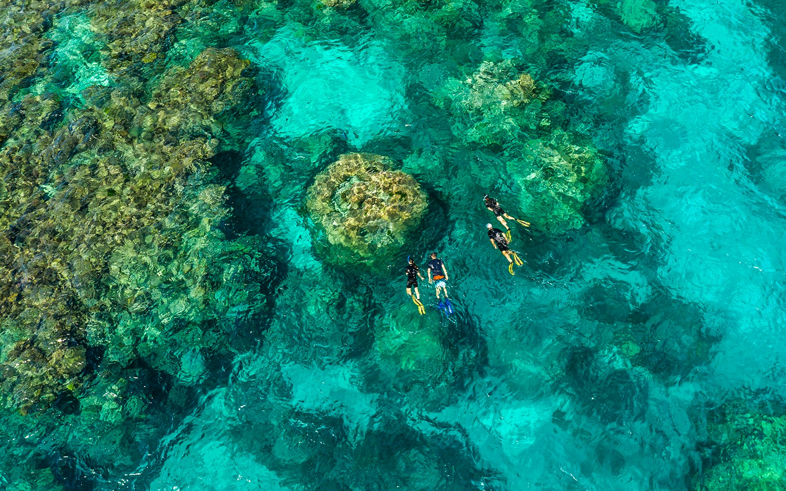 Snorkelers exploring coral reefs in clear waters, Outer Great Barrier Reef, Australia.