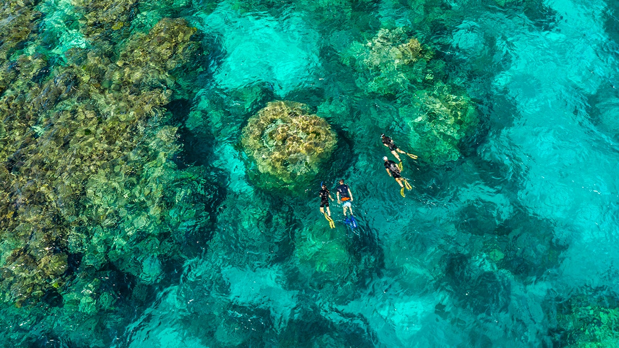 Tourists snorkeling in clear waters of the Outer Great Barrier Reef, Australia.