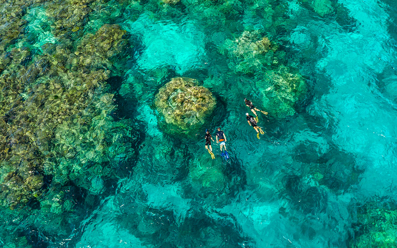 Crucero de Port Douglas a la Gran Barrera de Coral con snorkel guiado y almuerzo — 2