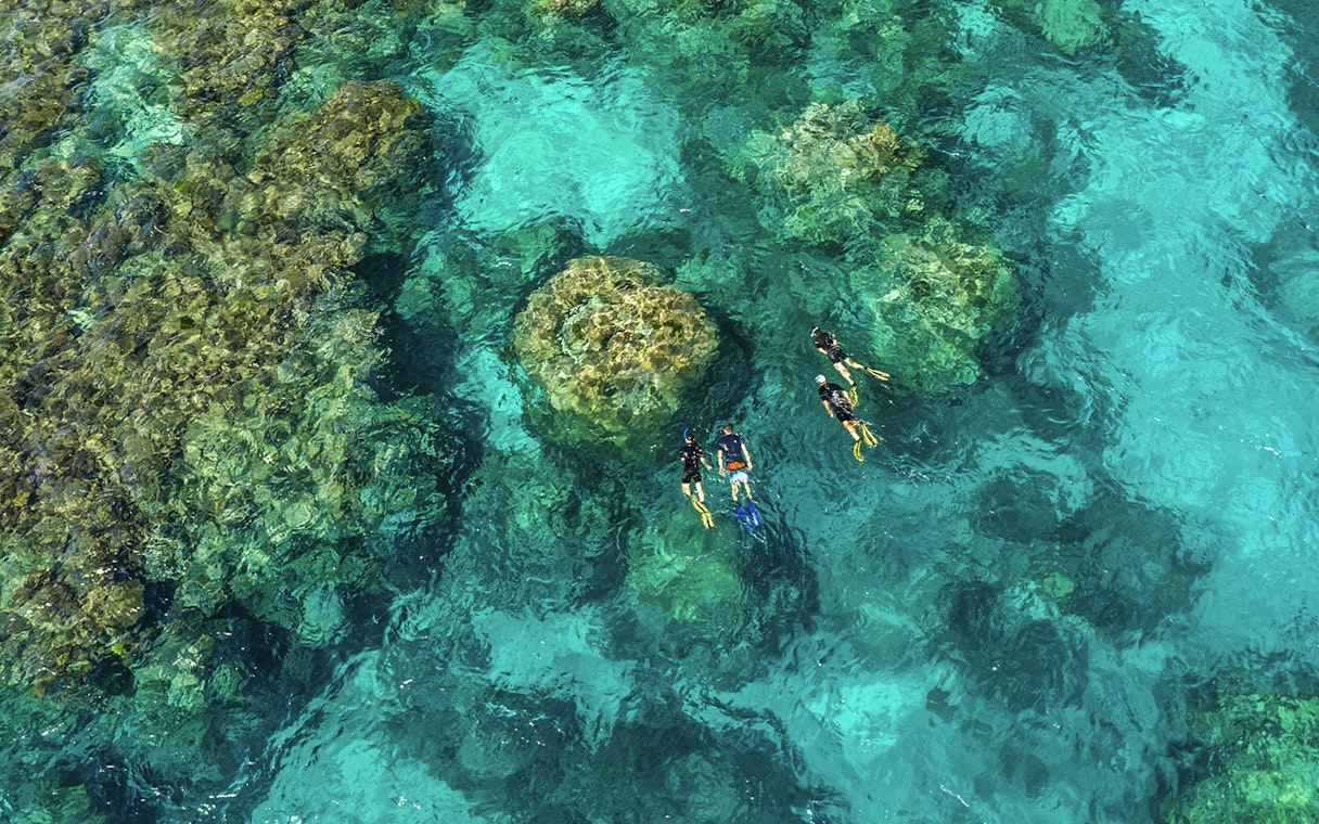 Snorkelers exploring coral reefs in clear waters, Outer Great Barrier Reef, Australia.
