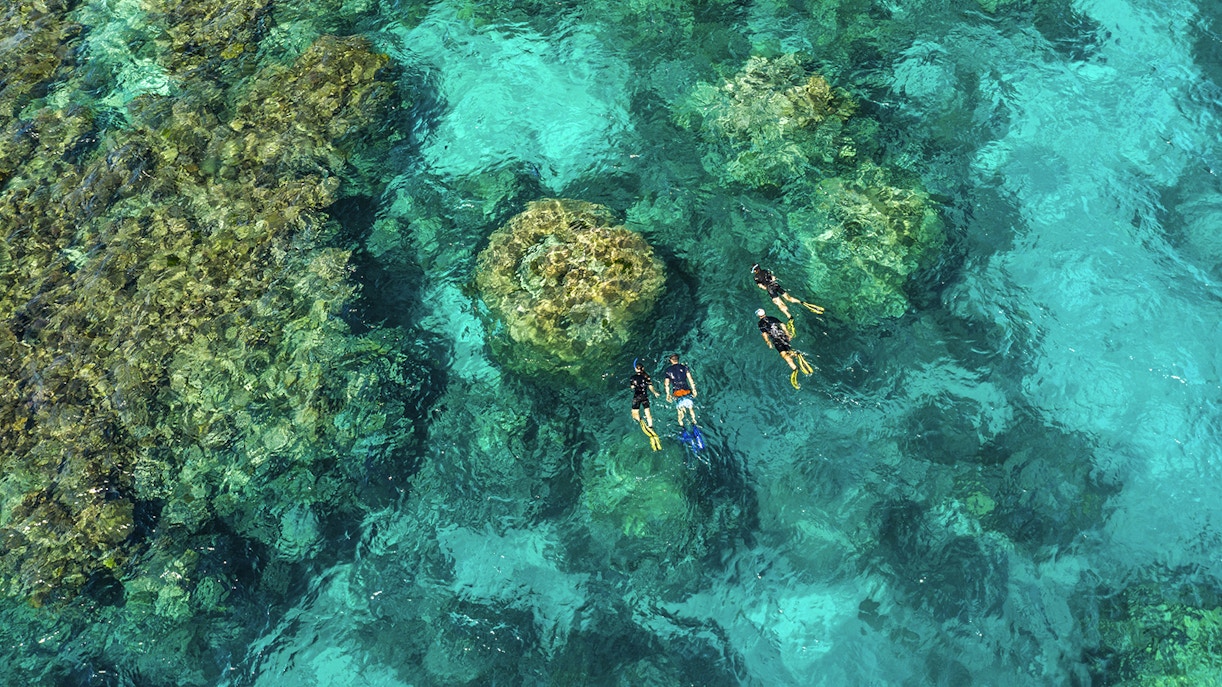 Tourists snorkeling in clear waters of the Outer Great Barrier Reef, Australia.