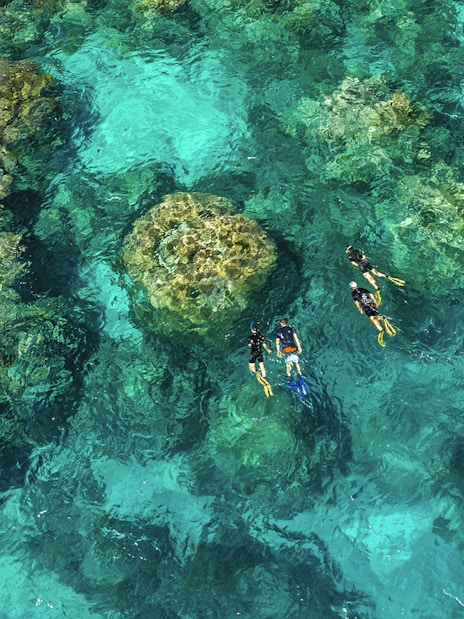 Snorkelers exploring coral reefs in clear waters, Outer Great Barrier Reef, Australia.