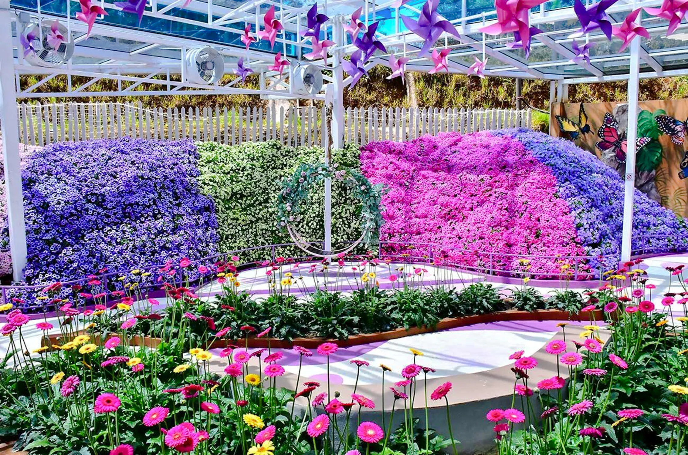 from kuala lumpur: private cameron highlands tour-13