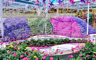 from kuala lumpur: private cameron highlands tour-13
