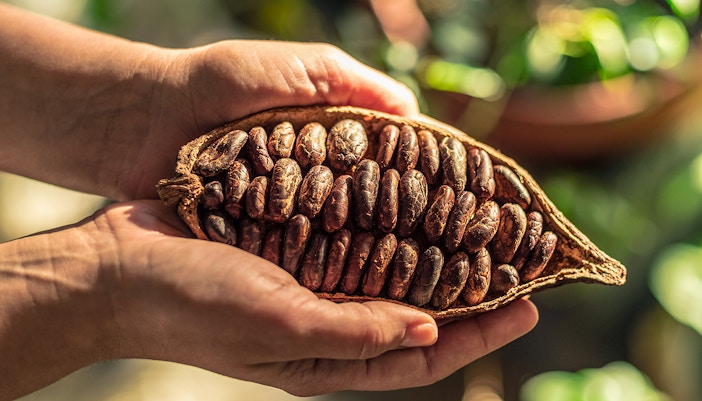 choco story brussels tickets