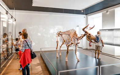 Skeleton exhibit at the National Museum of Denmark with visitors observing displays.
