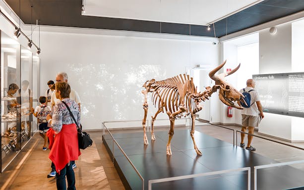 Skeleton exhibit at the National Museum of Denmark with visitors observing displays.