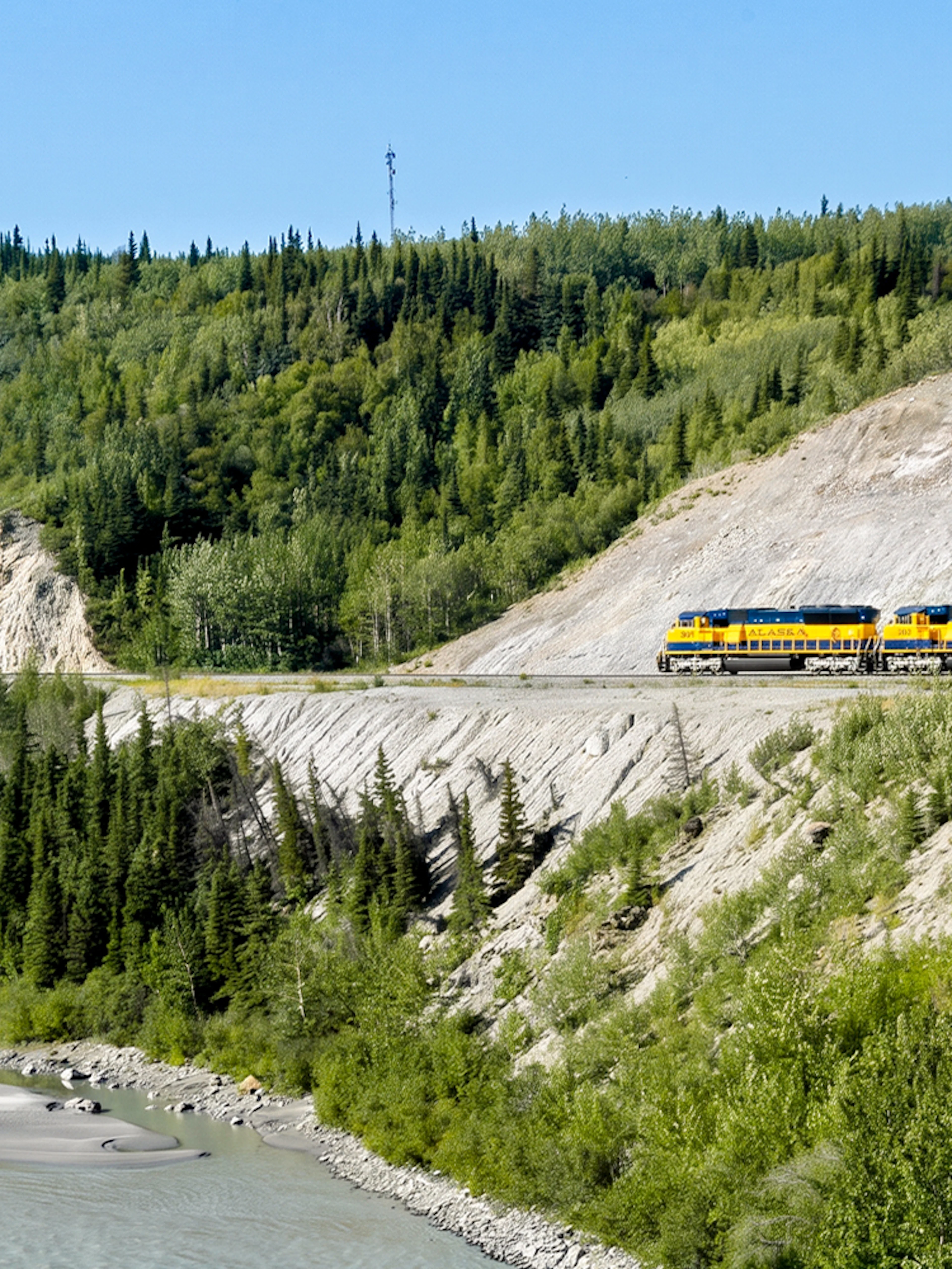 Alaska Railroad train traveling through forested mountains.