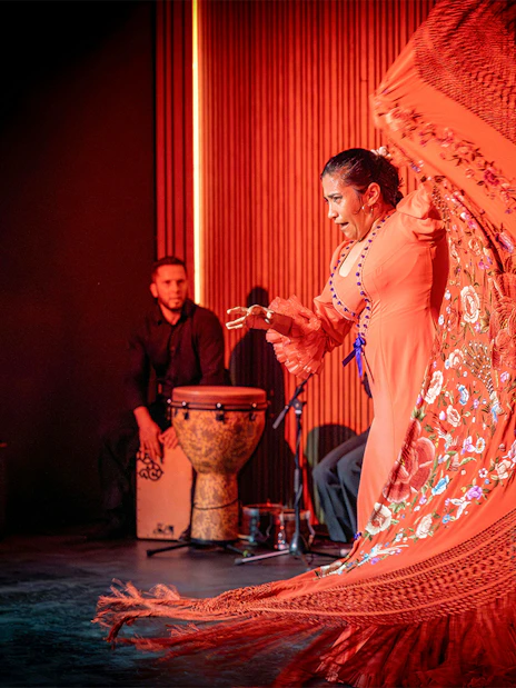 Flamenco dancer performing at La Perla del Born in Barcelona.
