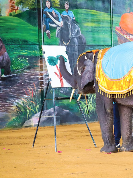 Elephant painting on canvas at a cultural show in Thailand.