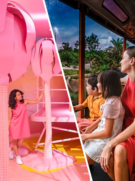 Child exploring Museum of Ice Cream Singapore; family enjoying Night Safari tram ride.