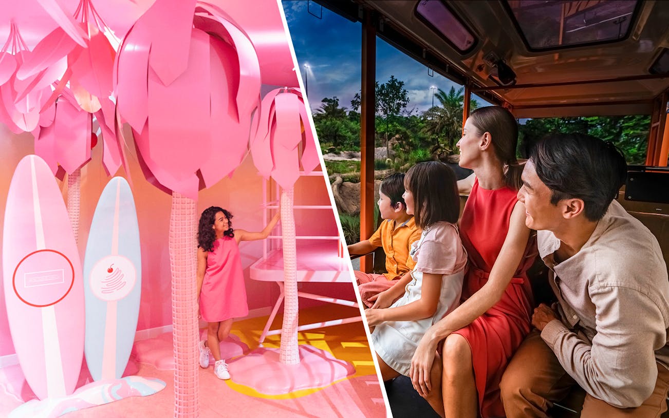 Child exploring Museum of Ice Cream Singapore; family enjoying Night Safari tram ride.
