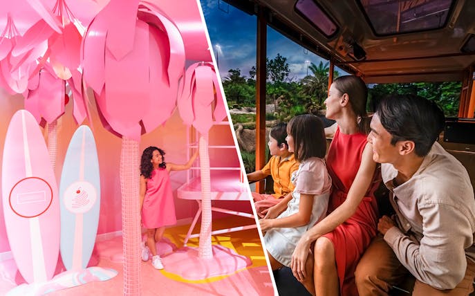 Child exploring Museum of Ice Cream Singapore; family enjoying Night Safari tram ride.
