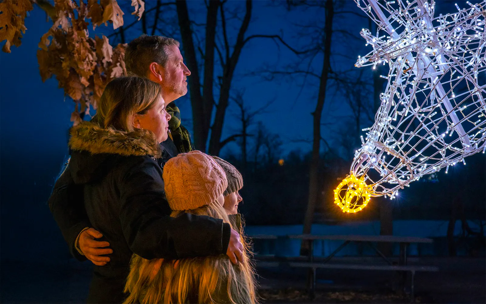 Guests admiring illuminated reindeer sculpture at Niagara Festival of Lights Tour.