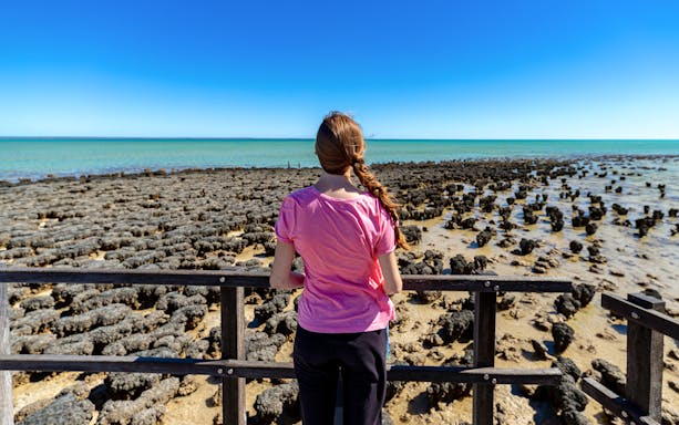 Visitor observing stromatolites on Outback Coast Tour.