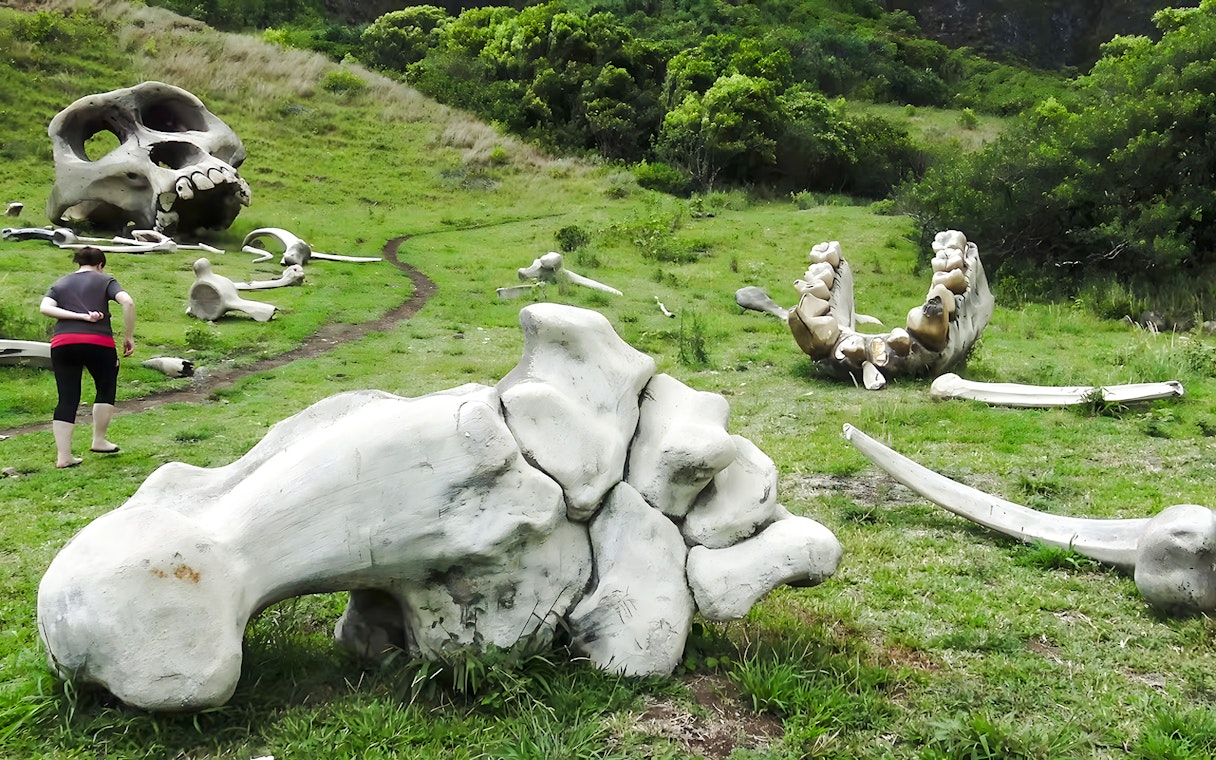 Giant skull and bones at Kualoa Ranch, Hawaii, with a person exploring the area.