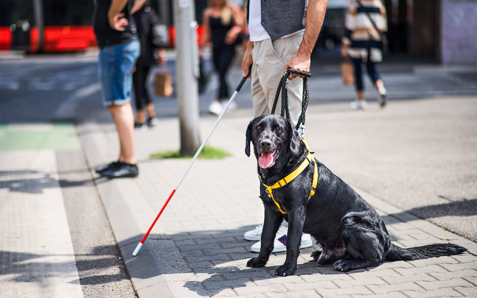 Mezquita De  Cordoba Mosque Tickets Accessibility