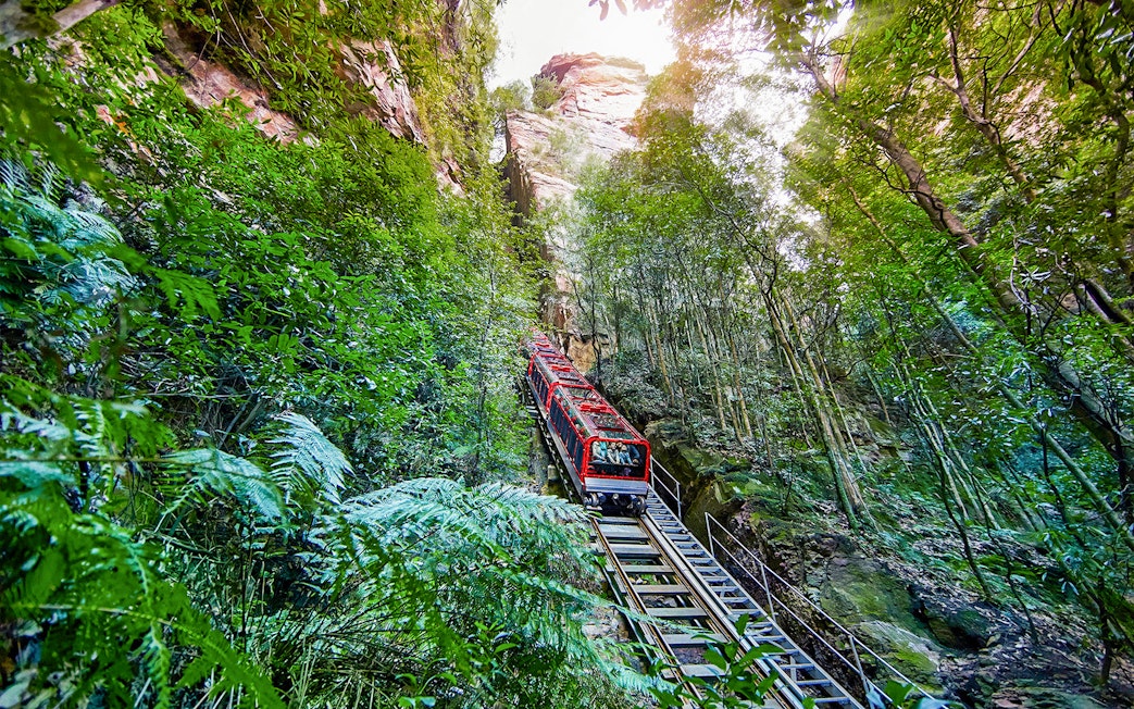 Scenic railway ascending through lush forest at Scenic World, Blue Mountains.
