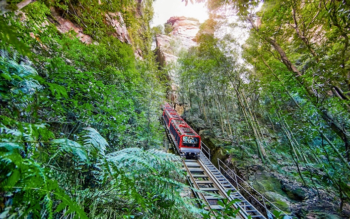 Scenic railway ascending through lush forest at Scenic World, Blue Mountains.