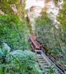 Scenic World