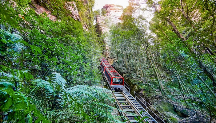 Explore the Blue Mountains