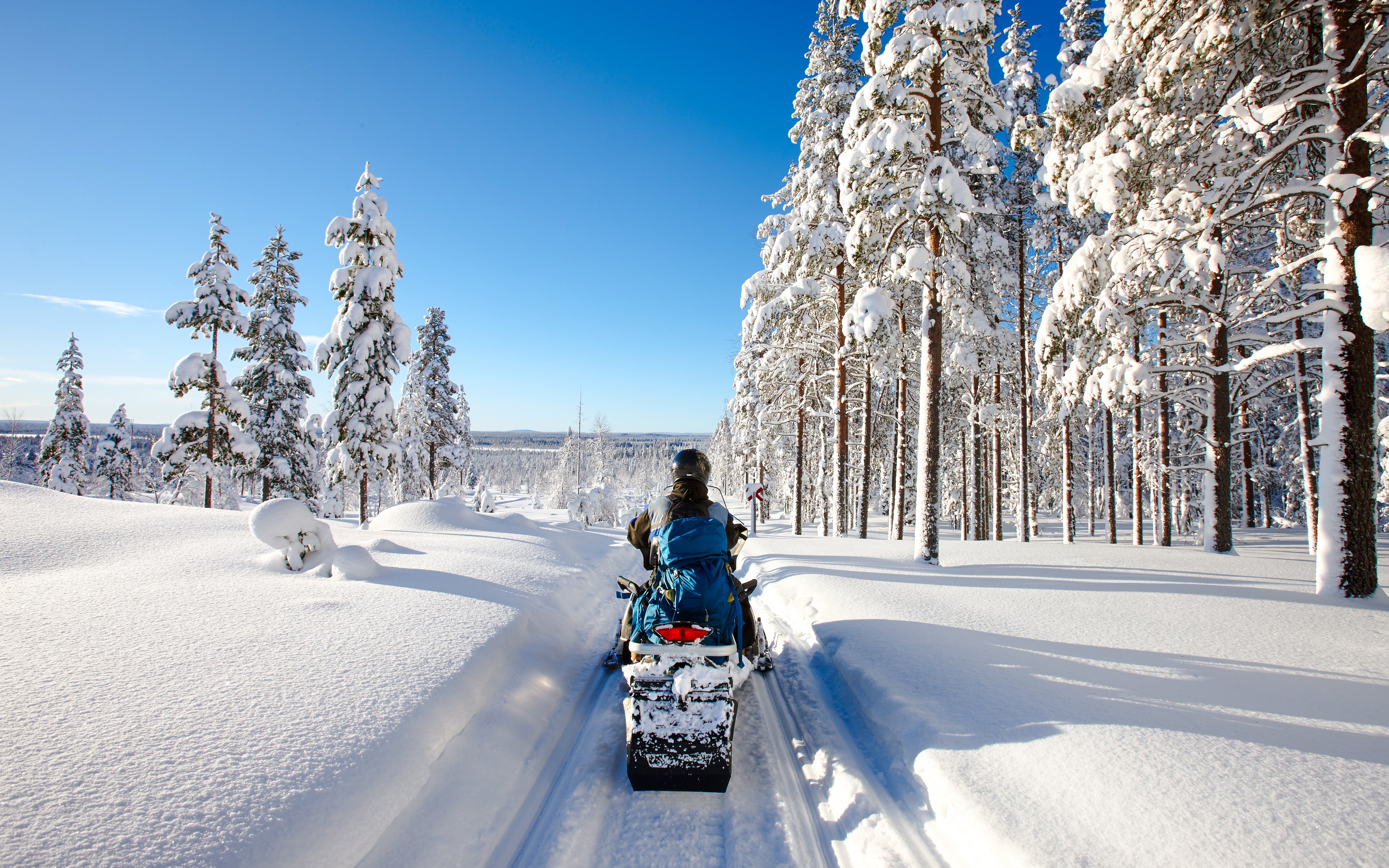 Snowmobile ride through snowy Lapland forest in winter.
