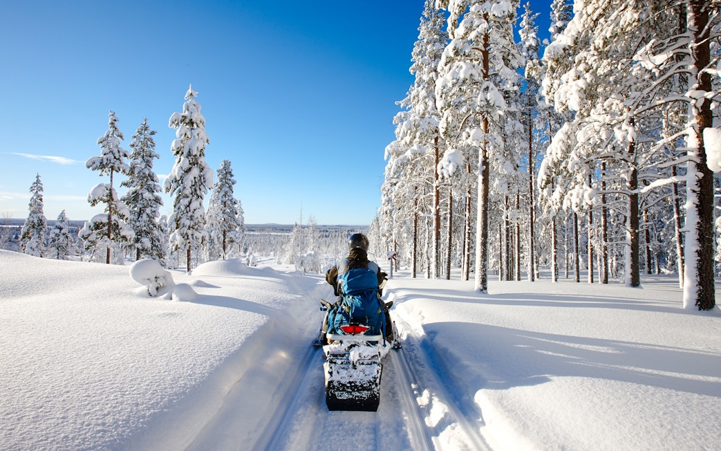 Snowmobile ride through snowy Lapland forest in winter.