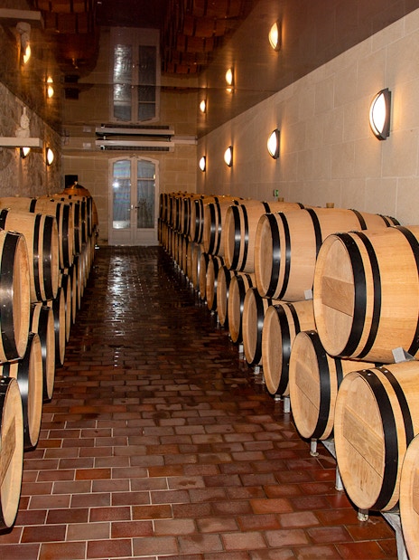 Wine barrels in a cellar during a Saint Emilion winery tour.