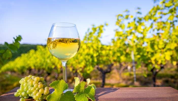 Loire Valley Wineries