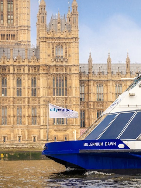 Cruise boat on the Thames by Westminster Palace in London.