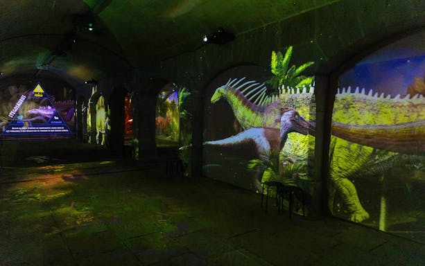Interior projections of dinosaurs at Immersive Dinosaur Exhibition, Dino Experience Porto.