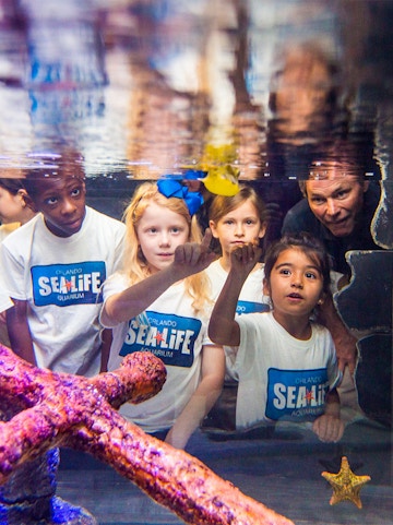 Children exploring SEA LIFE Aquarium in Orlando with the Orlando Explorer Pass.