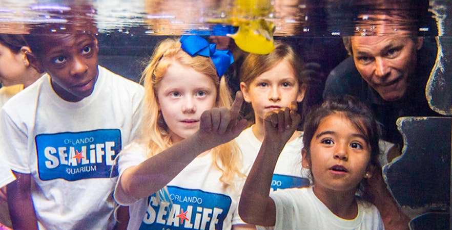 Kup Przepustki miejskie Go City Orlando