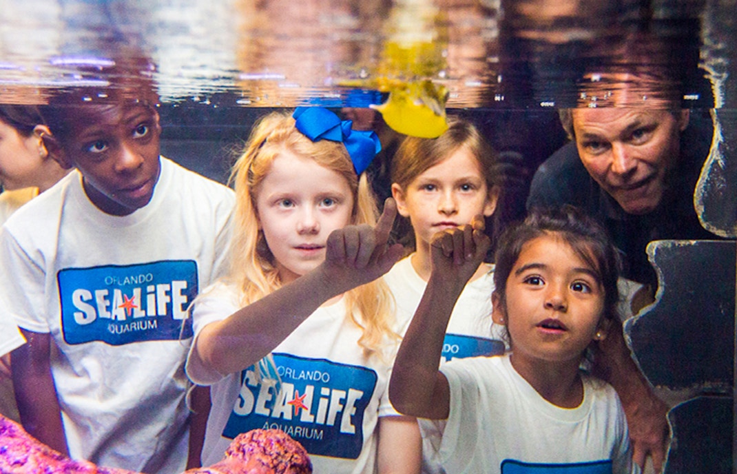 Sea Life Aquarium Orlando