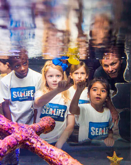 Children exploring SEA LIFE Aquarium in Orlando with the Orlando Explorer Pass.