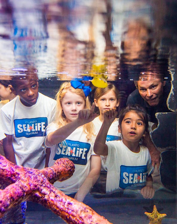 Children exploring SEA LIFE Aquarium in Orlando with the Orlando Explorer Pass.
