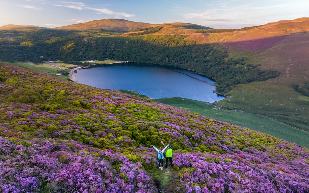 Visitors enjoying the view of Lough Tay in Wicklow Mountains, Ireland, surrounded by purple heather.