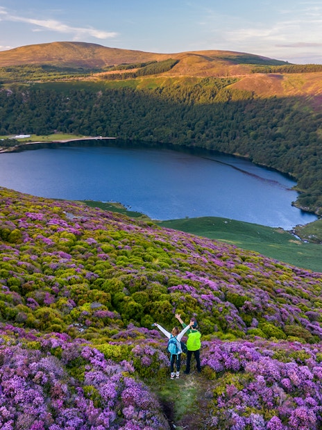 Visitors enjoying the view of Lough Tay in Wicklow Mountains, Ireland, surrounded by purple heather.