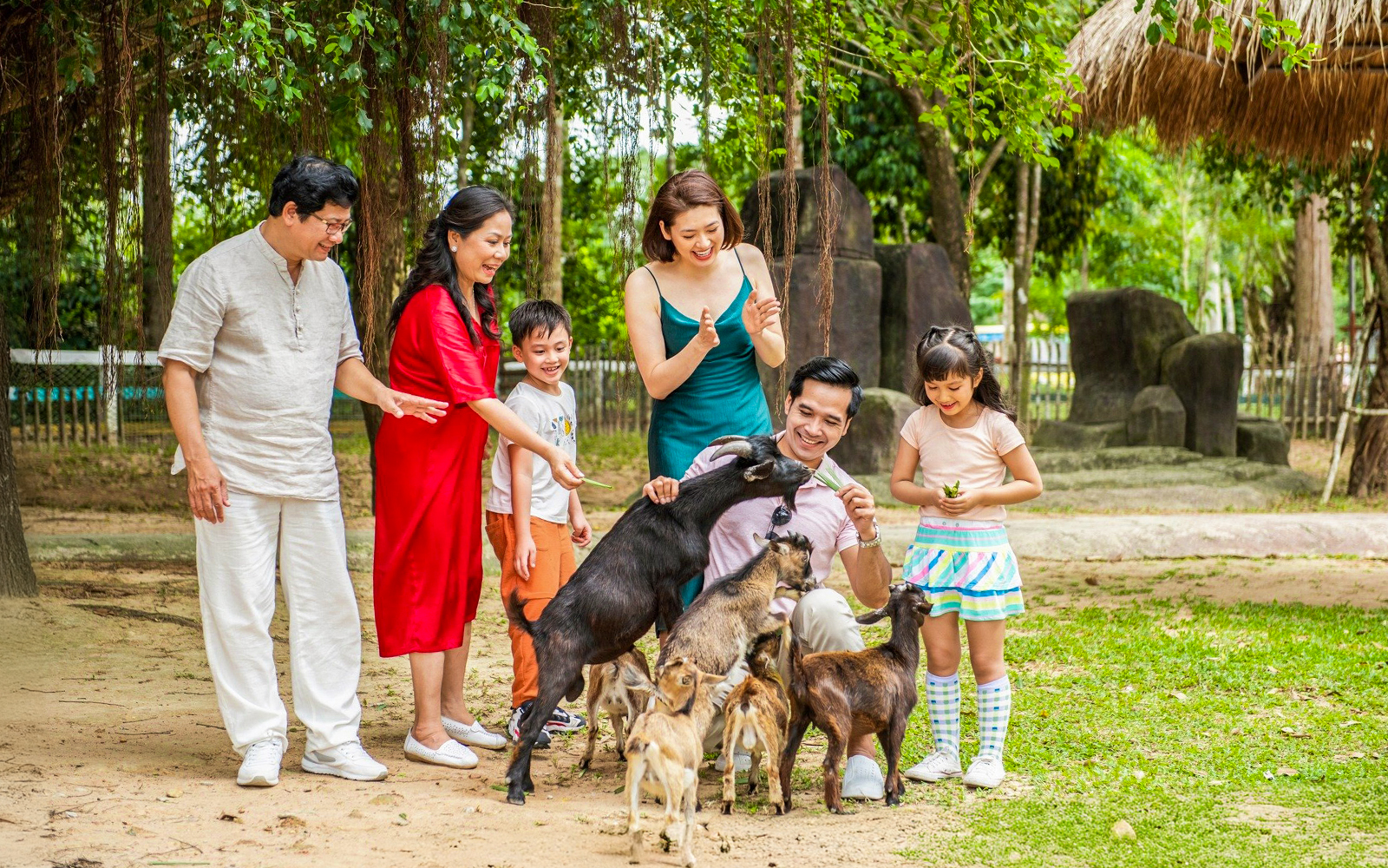 Family feeding goats at Vinpearl Safari, enjoying a hands-on wildlife experience.
