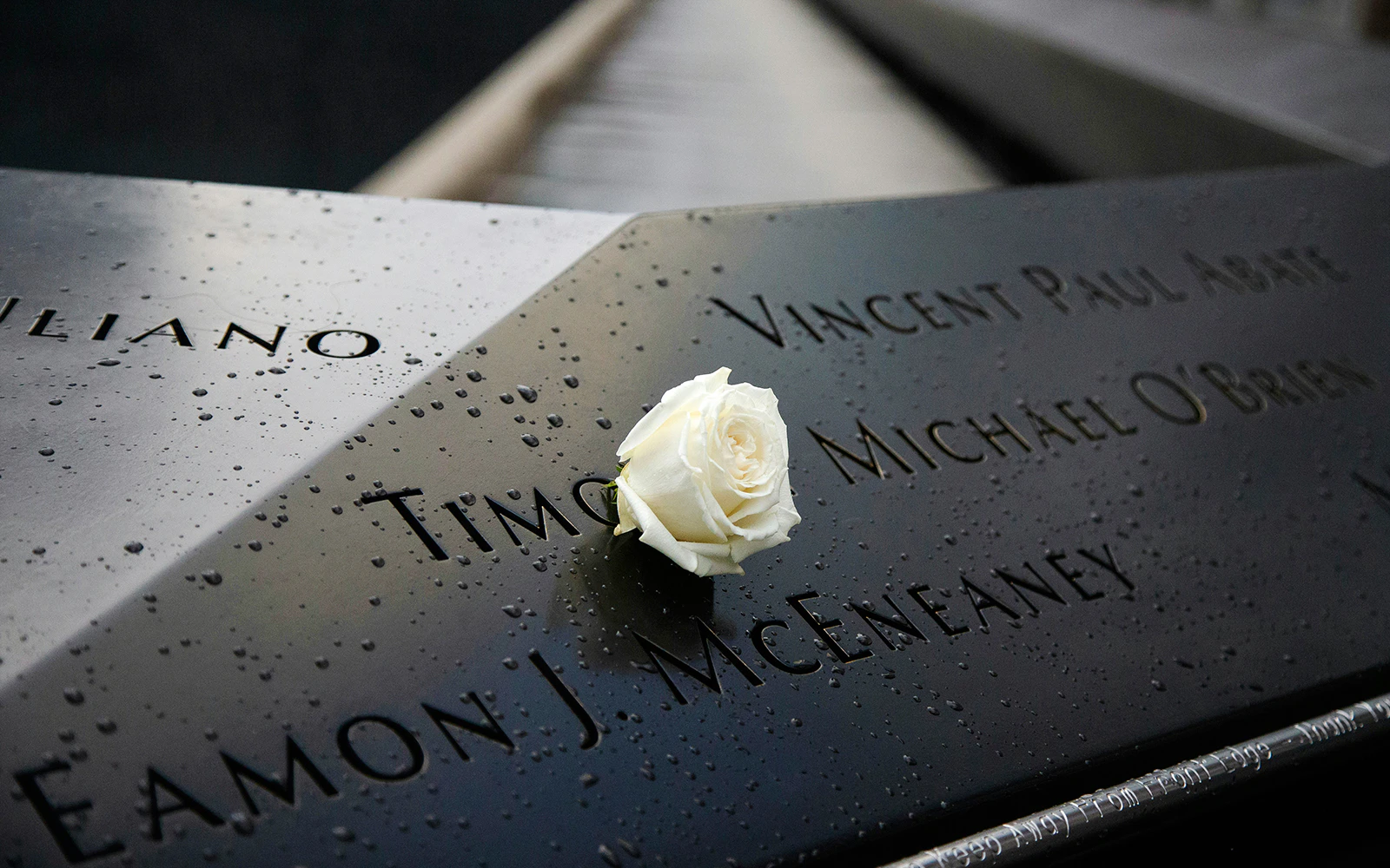White rose on engraved names at 9/11 Memorial, New York City.