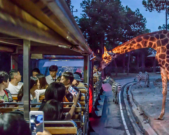 Chiang Mai Night Safari Tickets with Transfers: Non-Thai Residents