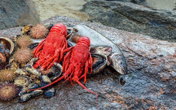 Fresh Tasmanian seafood including lobster, abalone, and fish on a rocky shore.