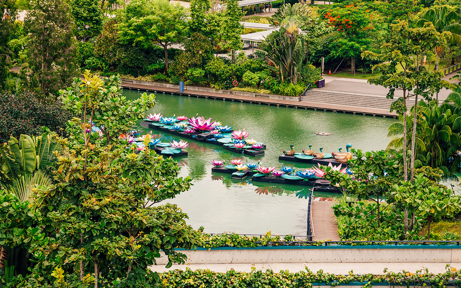 Floral Fantasy Singapore