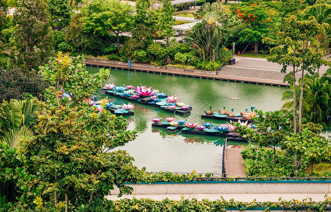 Floral Fantasy Singapore