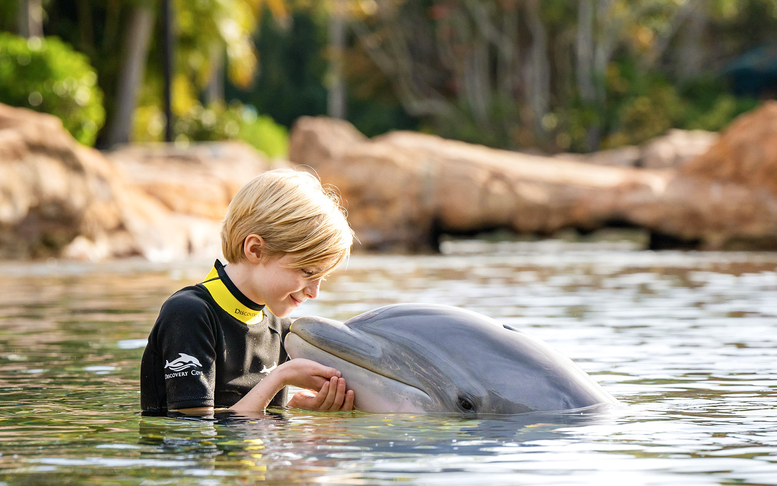 Child interacting with a dolphin at Discovery Cove Orlando.