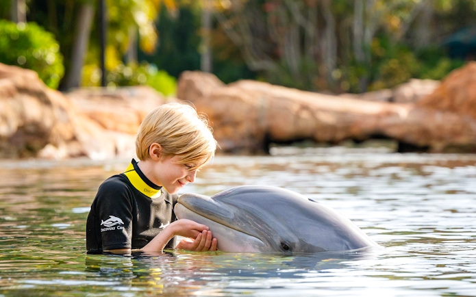 Child interacting with a dolphin at Discovery Cove Orlando.