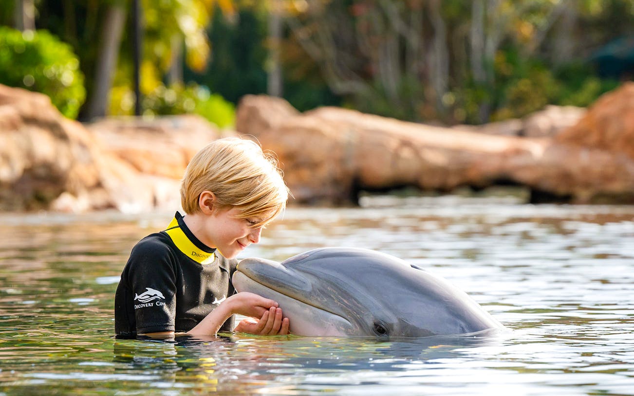 Child interacting with a dolphin at Discovery Cove Orlando.